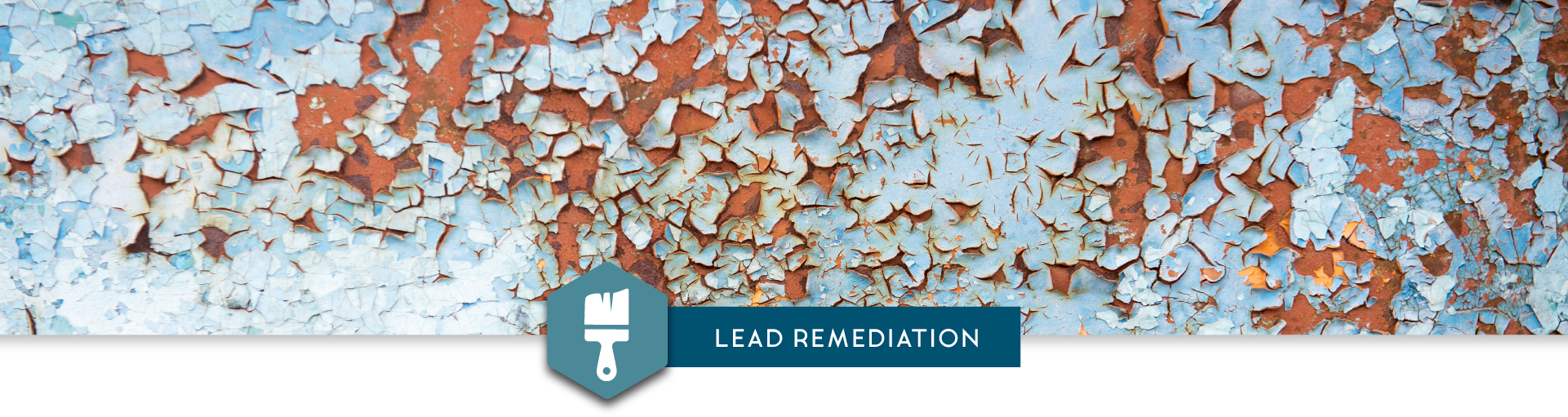 lead paint environmental remediation services