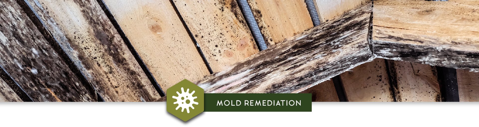 lead paint environmental remediation services