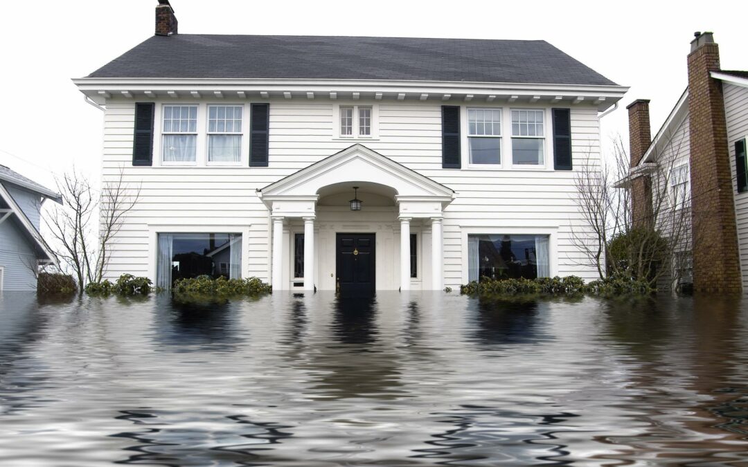 What to do If You Have Flood Damage